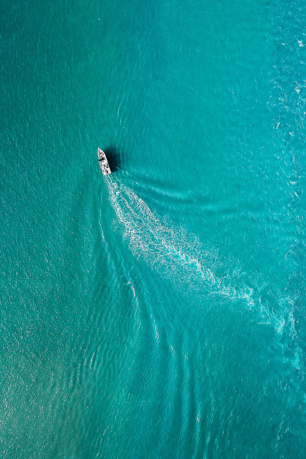 Cruise Trip at South Beach