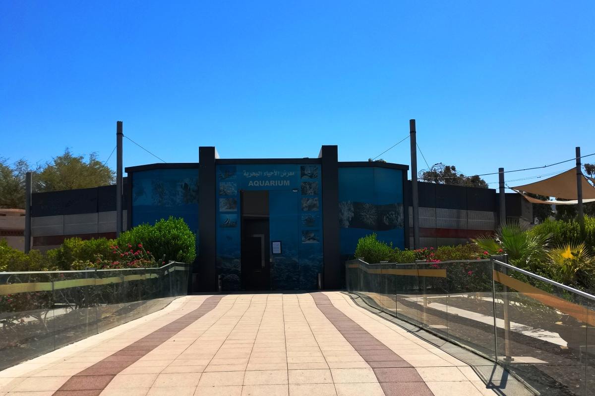 Aqaba Aquarium