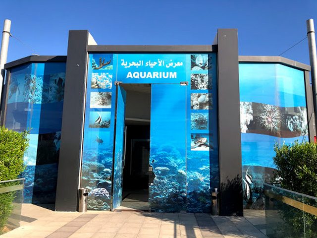 Aqaba Aquarium