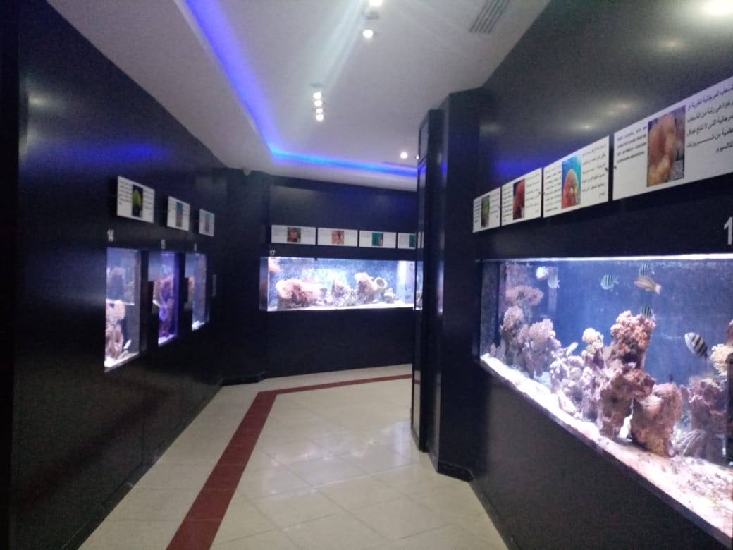 Aqaba Aquarium