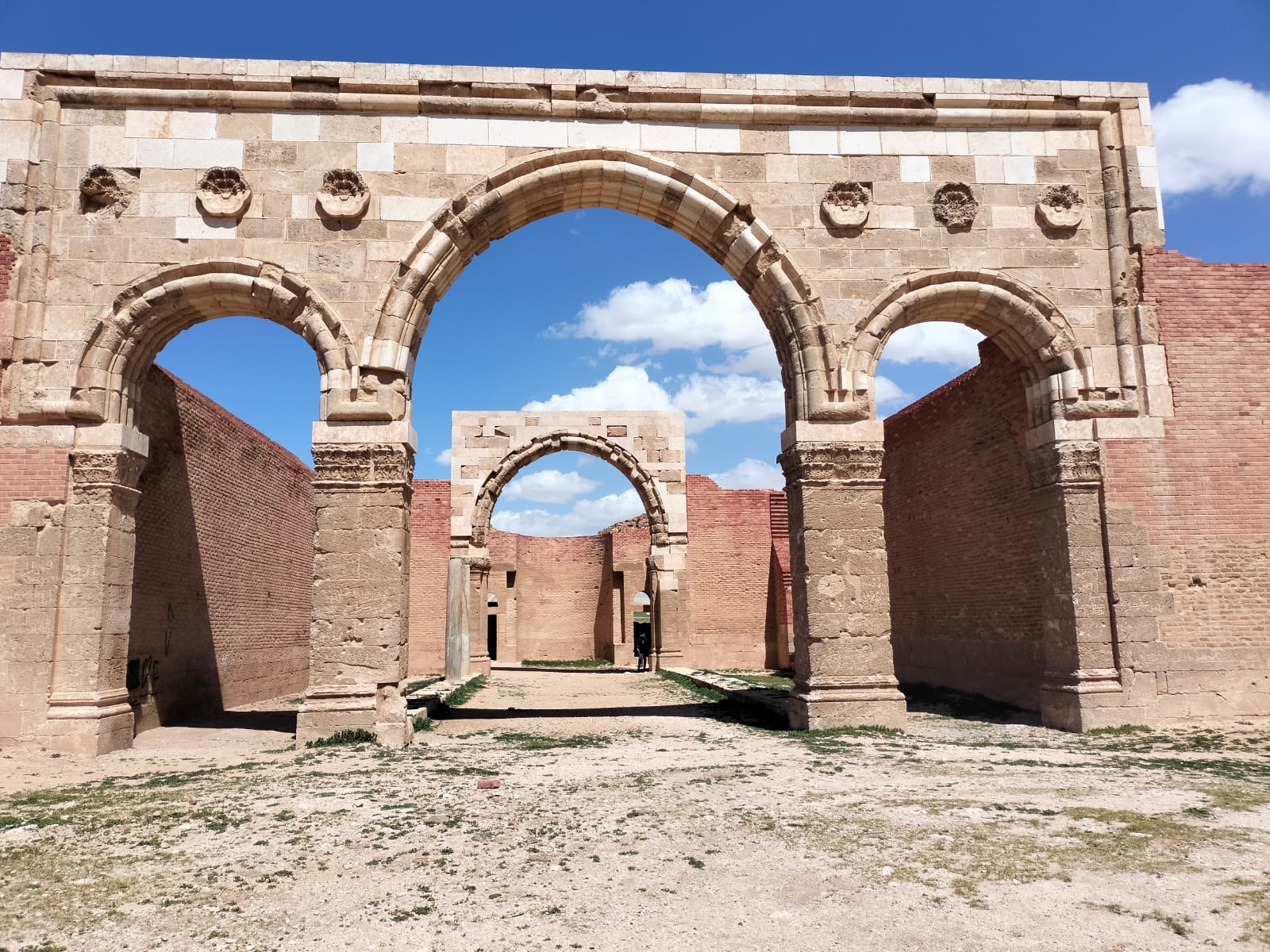 Historical Wonders: Amman to Jerash and Ajloun