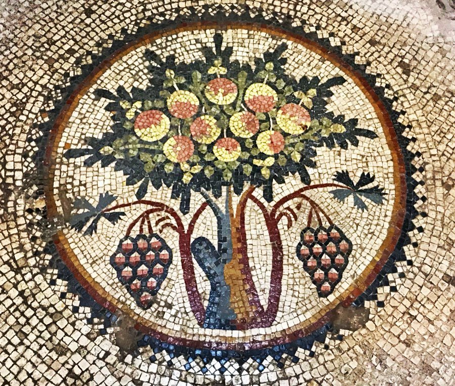 From Amman: Madaba, Mount Nebo and Dead Sea Tour