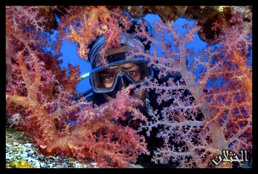 Snorkeling Trip (Boat)