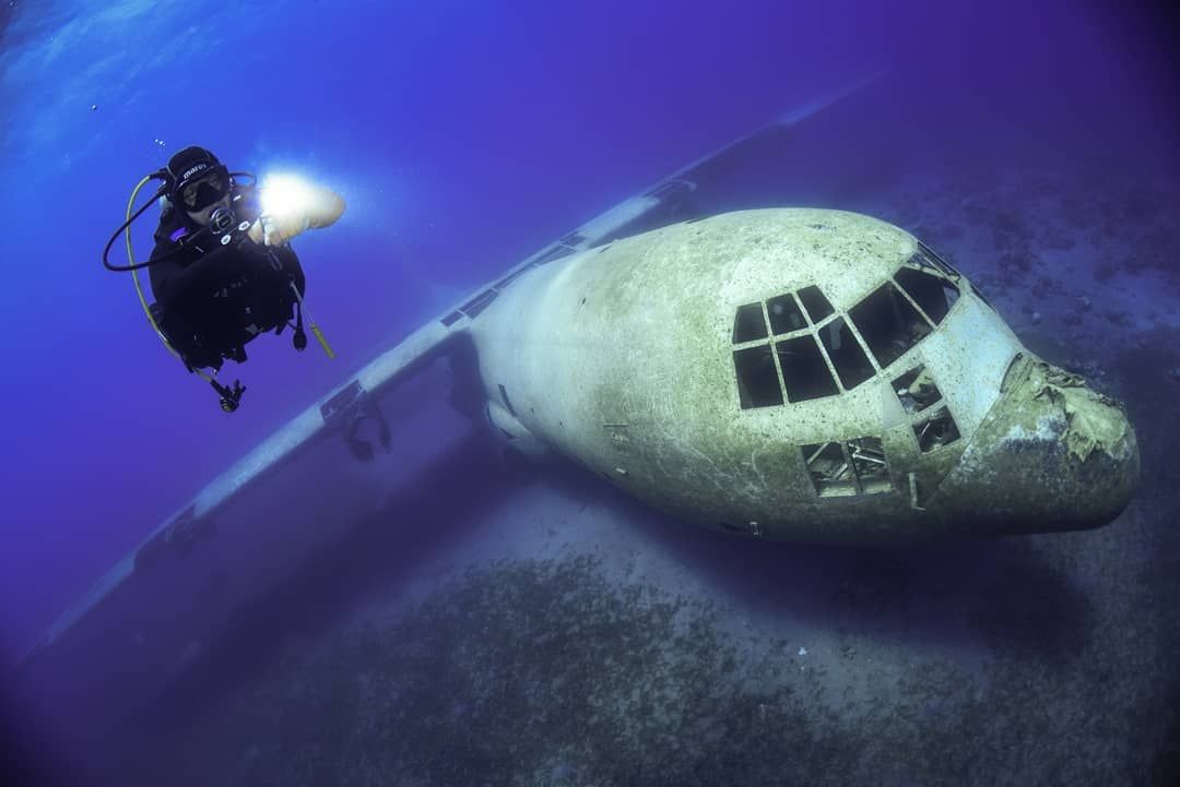 Dive Boat Trip - Four Hours