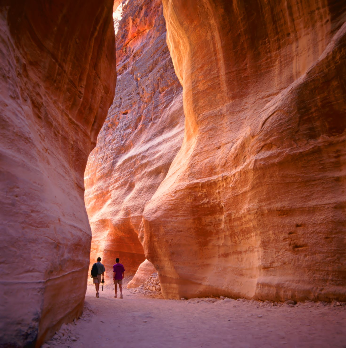 Petra and Wadi Rum Two Day Tour from Jerusalem
