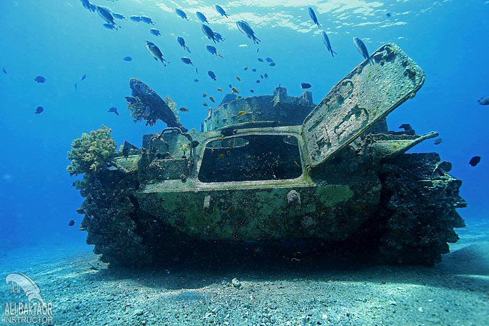 Certified Divers - From Shore Two Dives