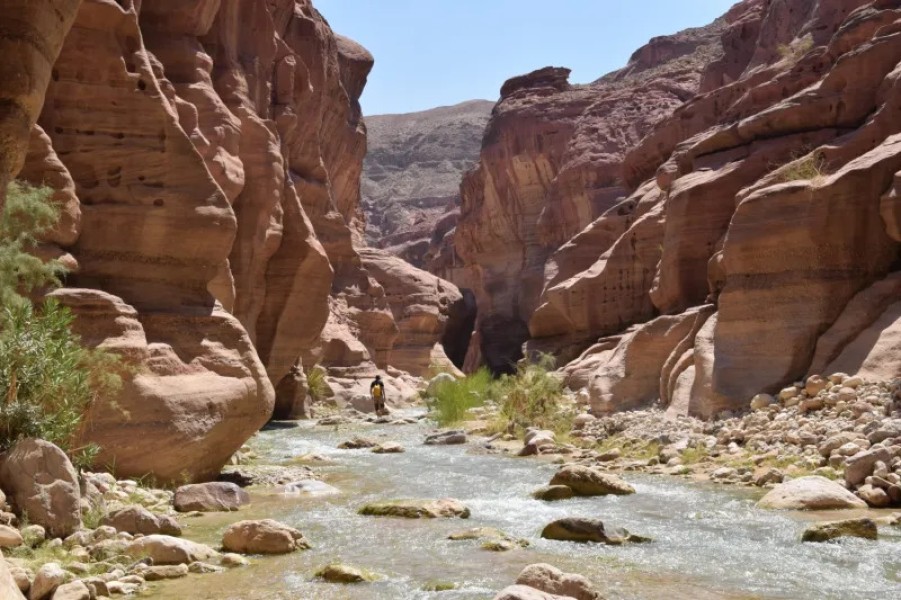 From Amman: Wadi Al Hassa Trail - One Night