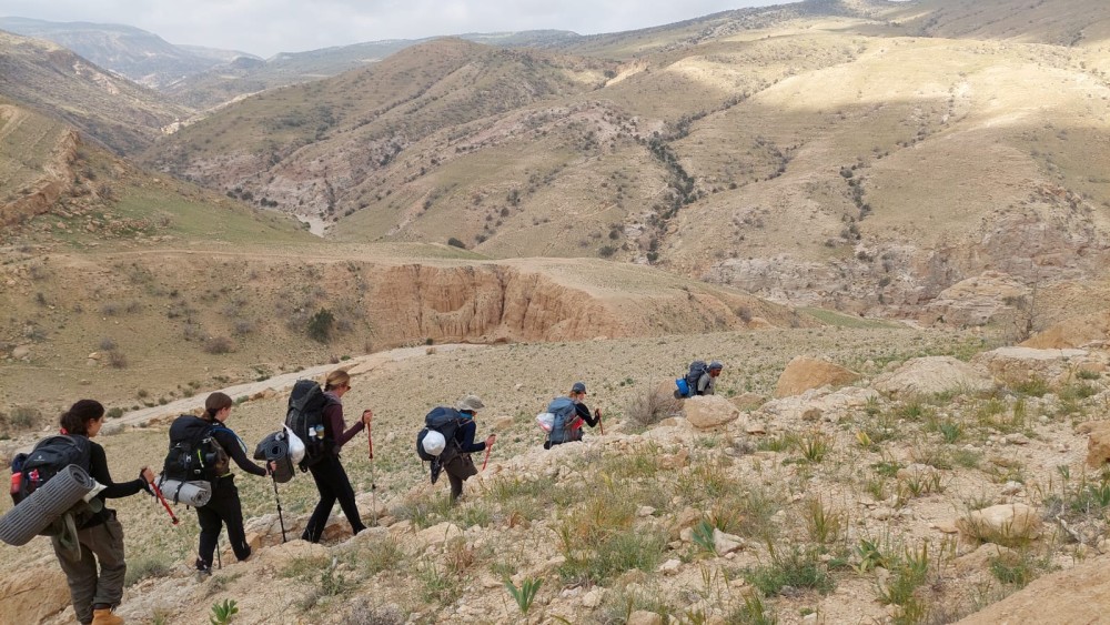 From Amman:  4 Days Trek to Petra