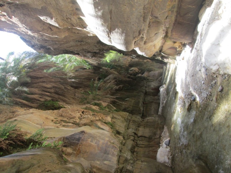 From Dana: Wadi Al-Ghuweir ( Ashiqer )  Full Day Hike