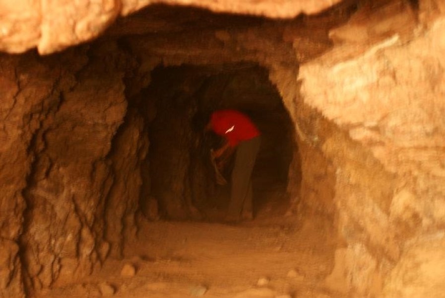 From Dana: The Mine Track - Half Day