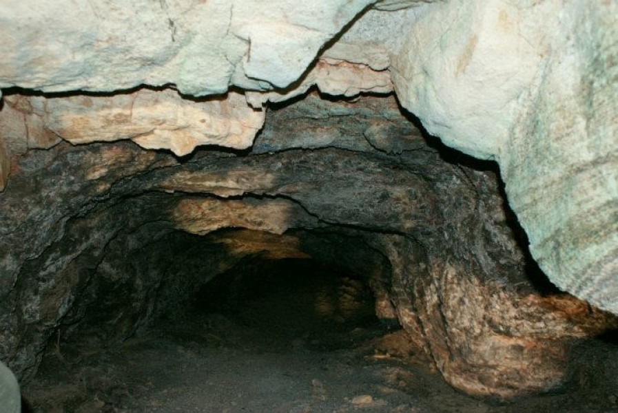From Dana: The Mine Track - Half Day