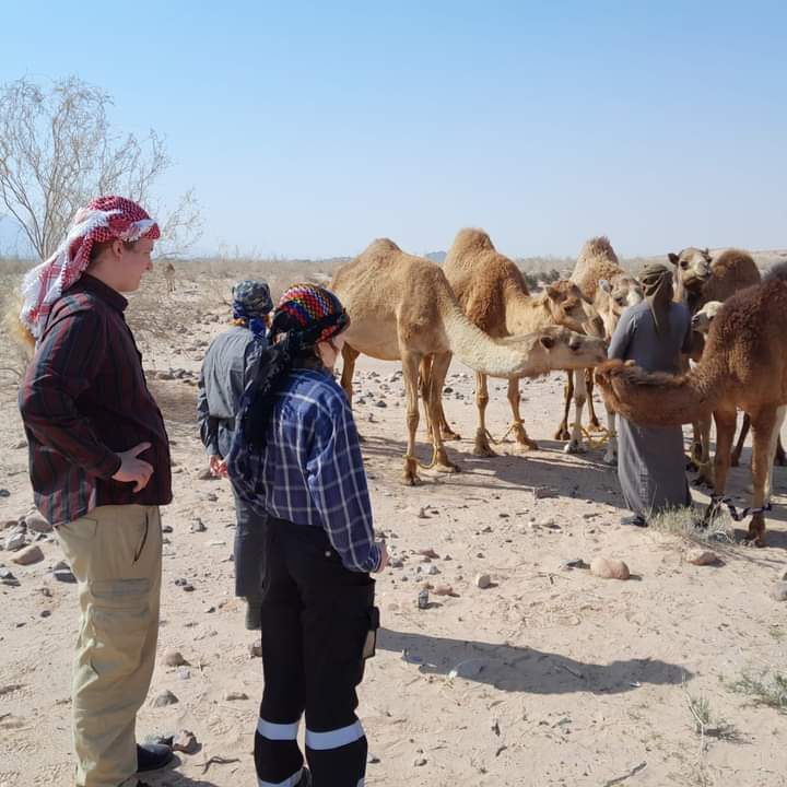 Feynan Wild Camp