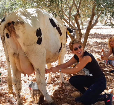 Be a Farmer for a Day in Jerash - Group up to  5 persons