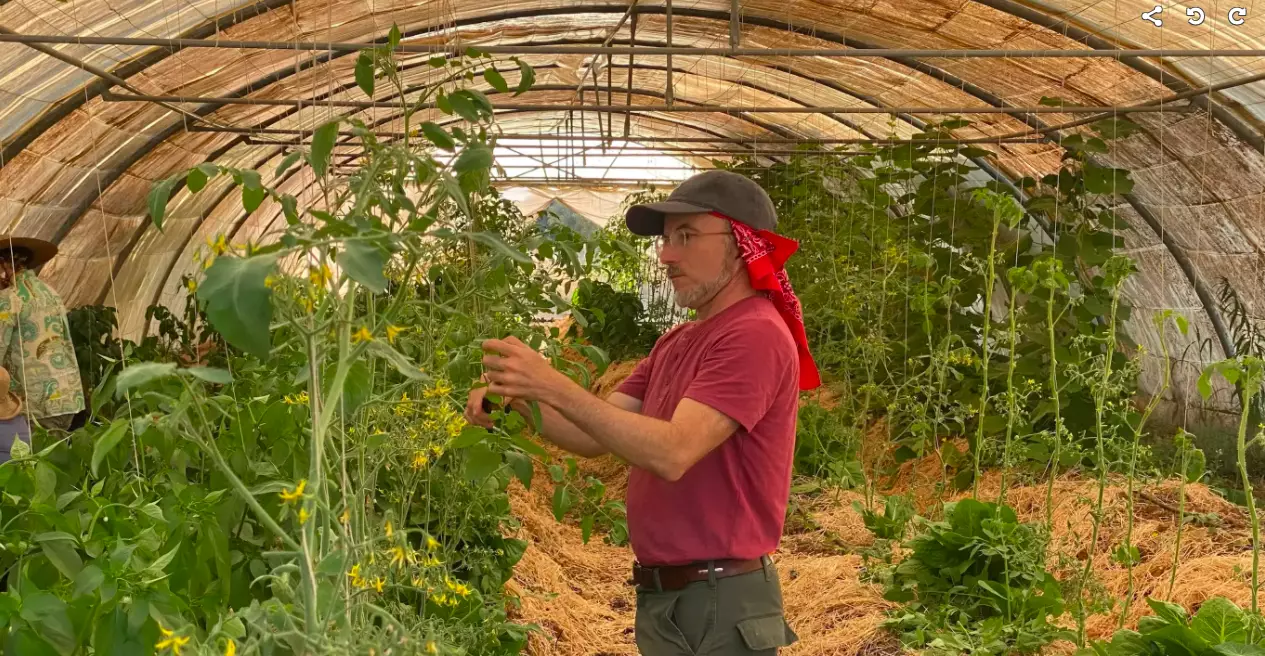 Permaculture Farmer for a Day at Carob Farm