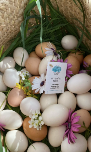 Permaculture Farmer for a Day at Carob Farm