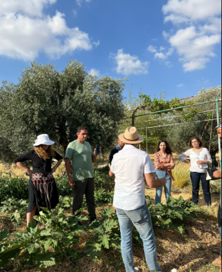 Permaculture Farmer for a Day at Carob Farm