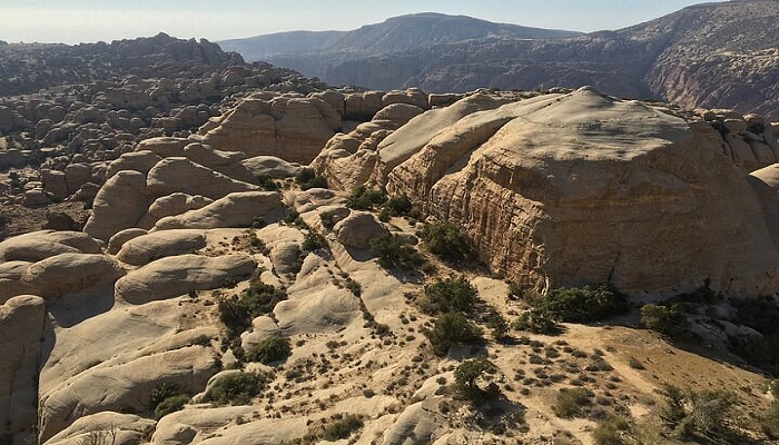 From Dana: Shaq Al-Reesh(Feather's Canyon)