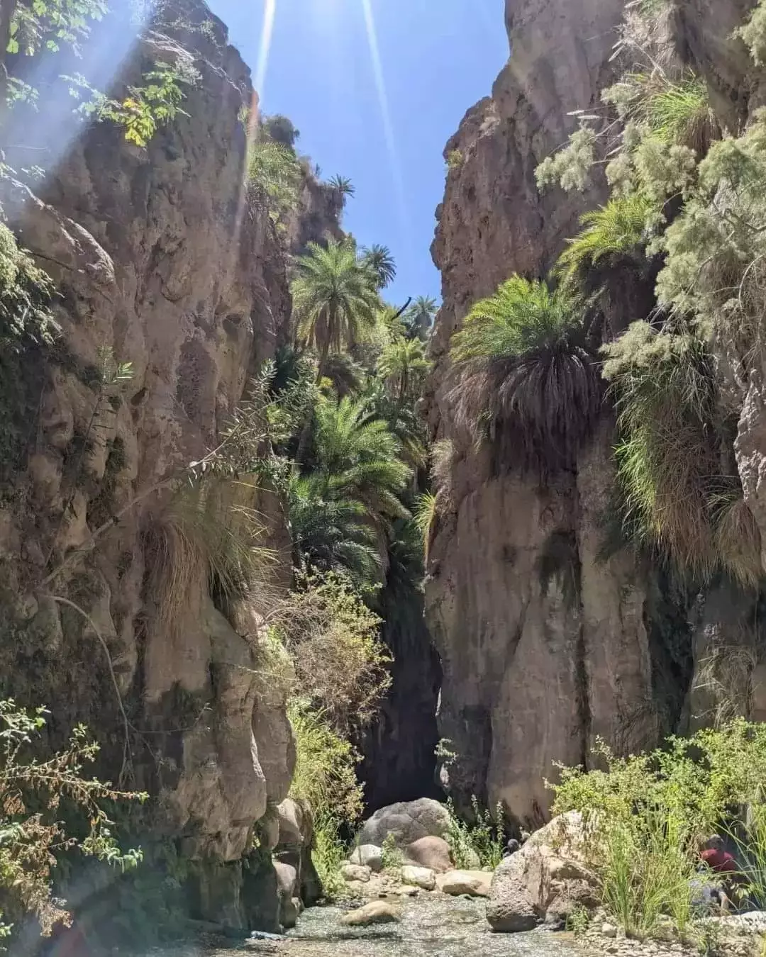 From Amman: Wadi Bin Hammad Hike