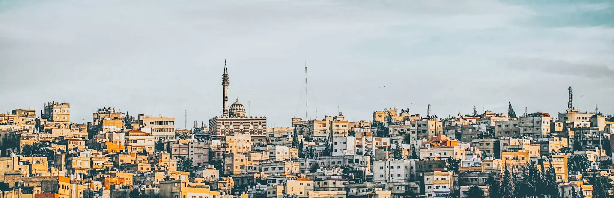 From Amman: Amman City Tour