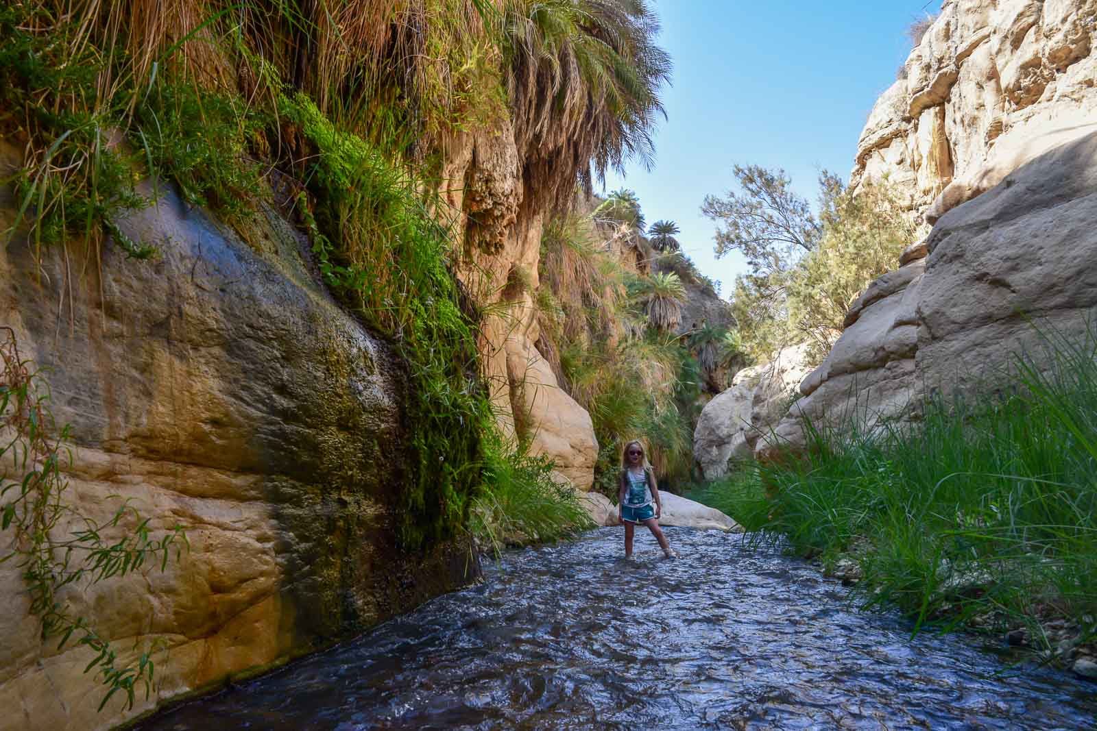 From Amman: Wadi Mujib Hike