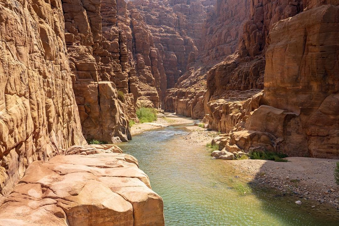 From Amman: Wadi Mujib Hike