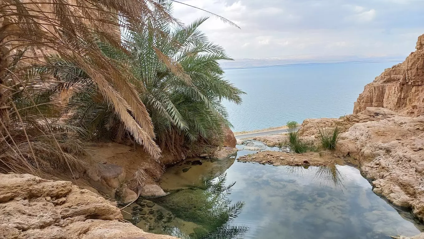 From Amman: Wadi Jazara Hike
