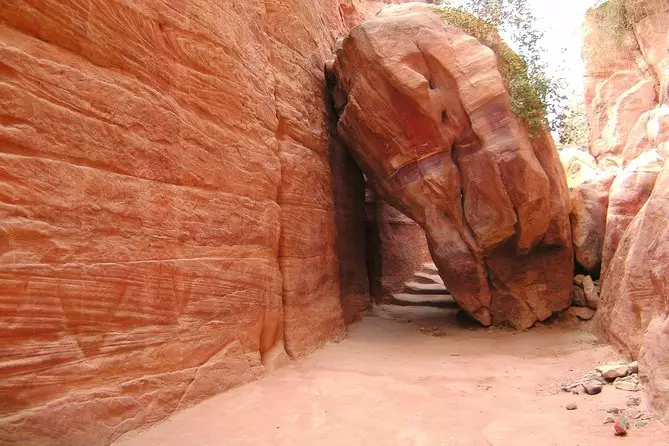 From Aqaba:  Private Petra Sightseeing Tour with Lunch