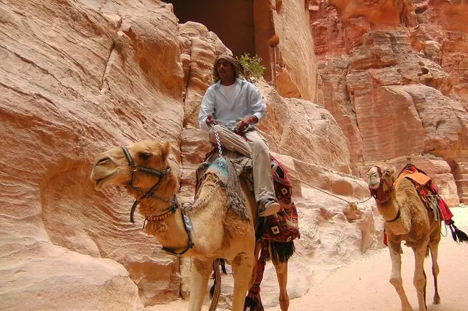 From Aqaba:  Private Petra Sightseeing Tour with Lunch