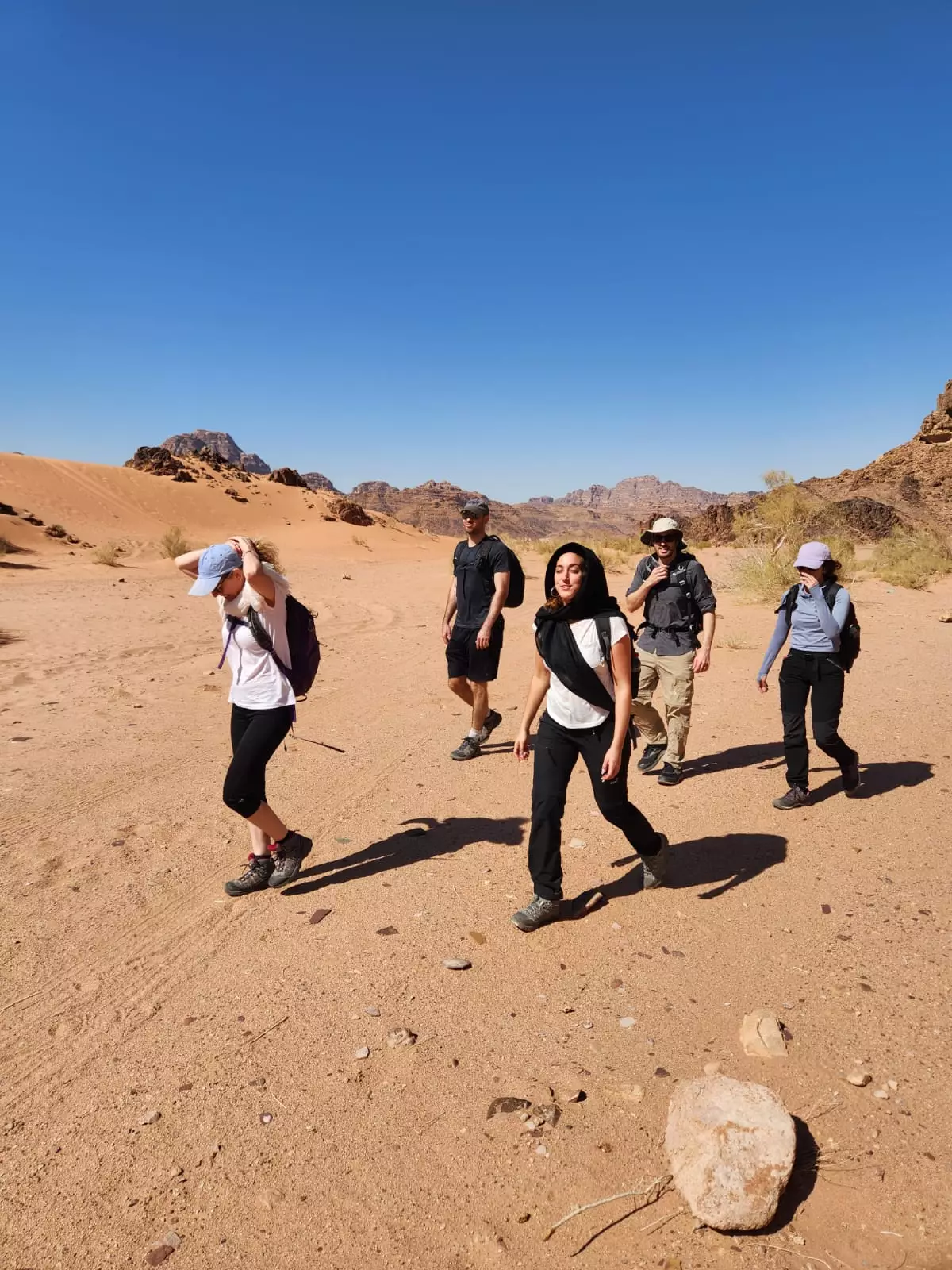 From Wadi Rum: Desert Hikes