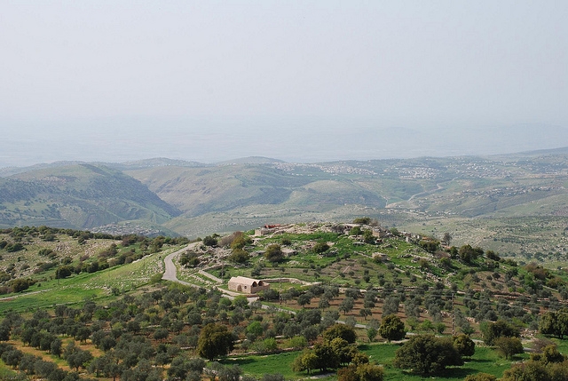 Ajloun AND Jerash Full Day Guided Tour from Amman