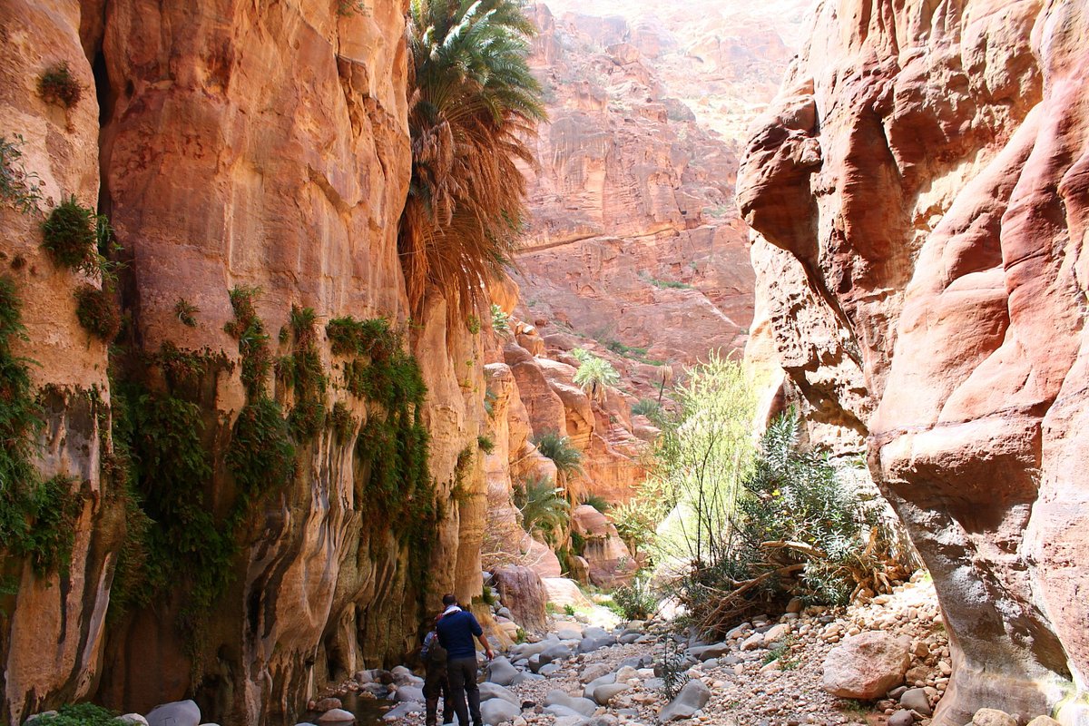 From Dana: Wadi Al-Ghuweir Full Day Hike