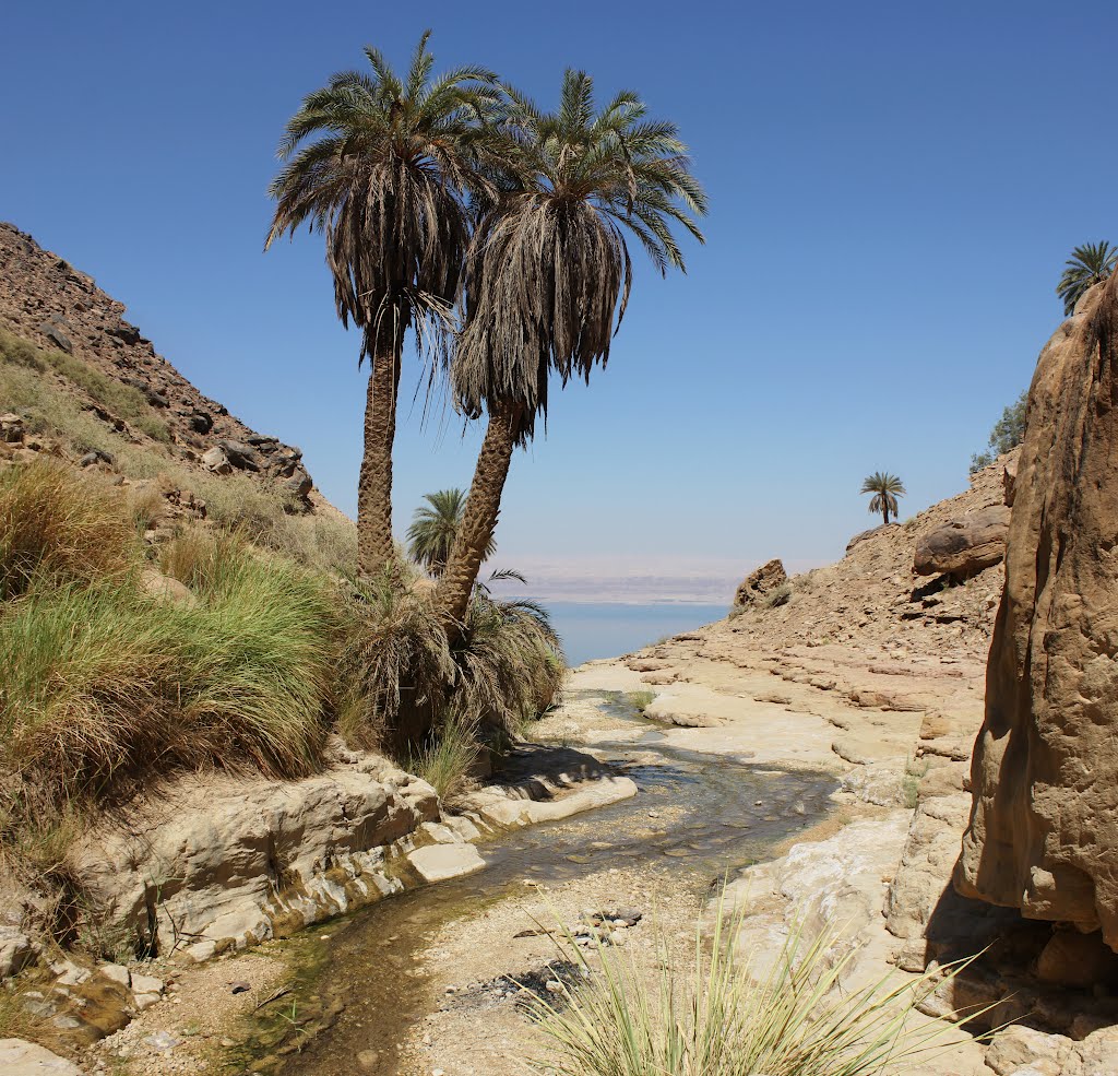 Wadi Himara Panorama Trail - Hiking in Jordan