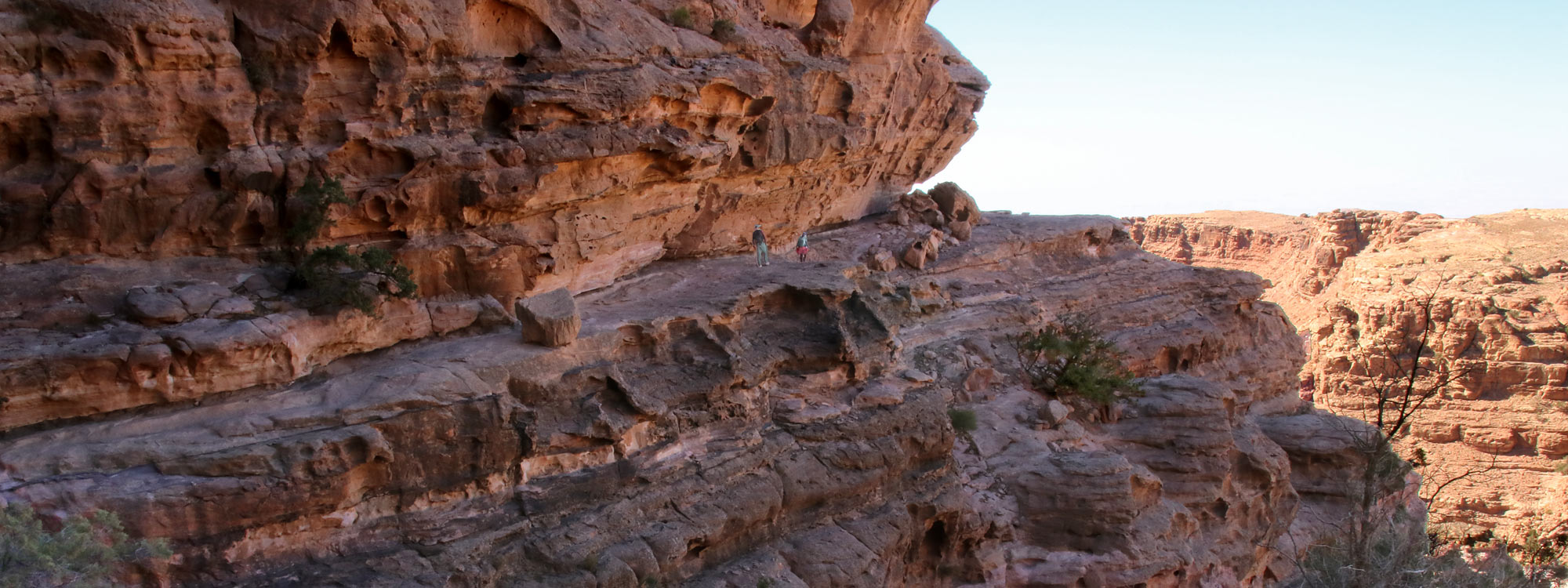 From Amman: Petra Tour