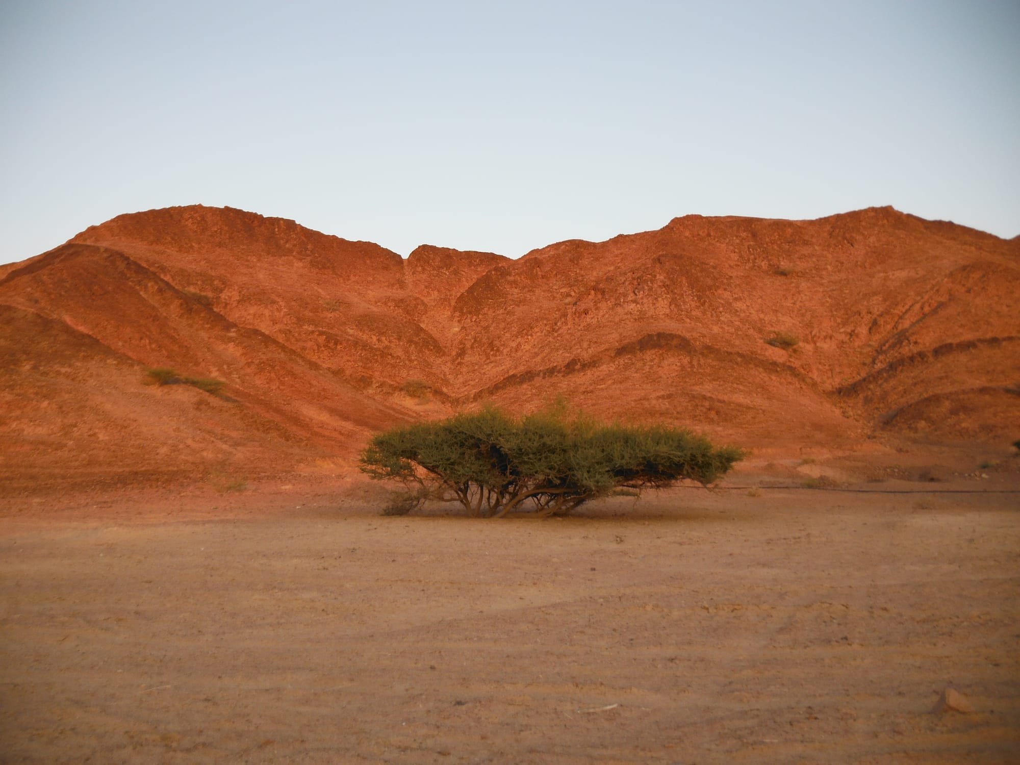From Wadi Araba: Wadi Araba Safari - Full Day