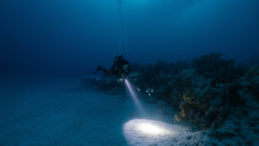 Night Dive