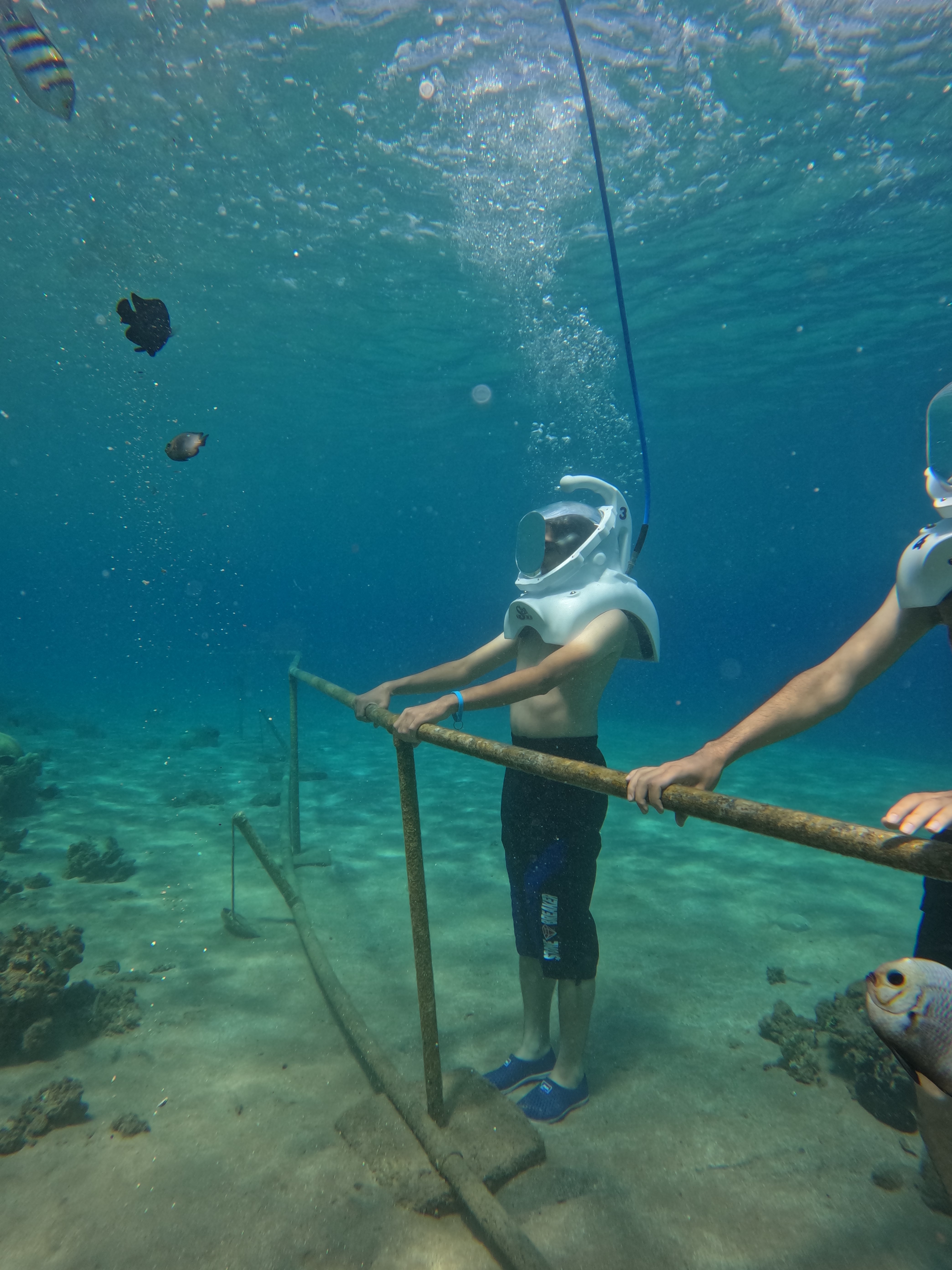 Royal Sea Trek