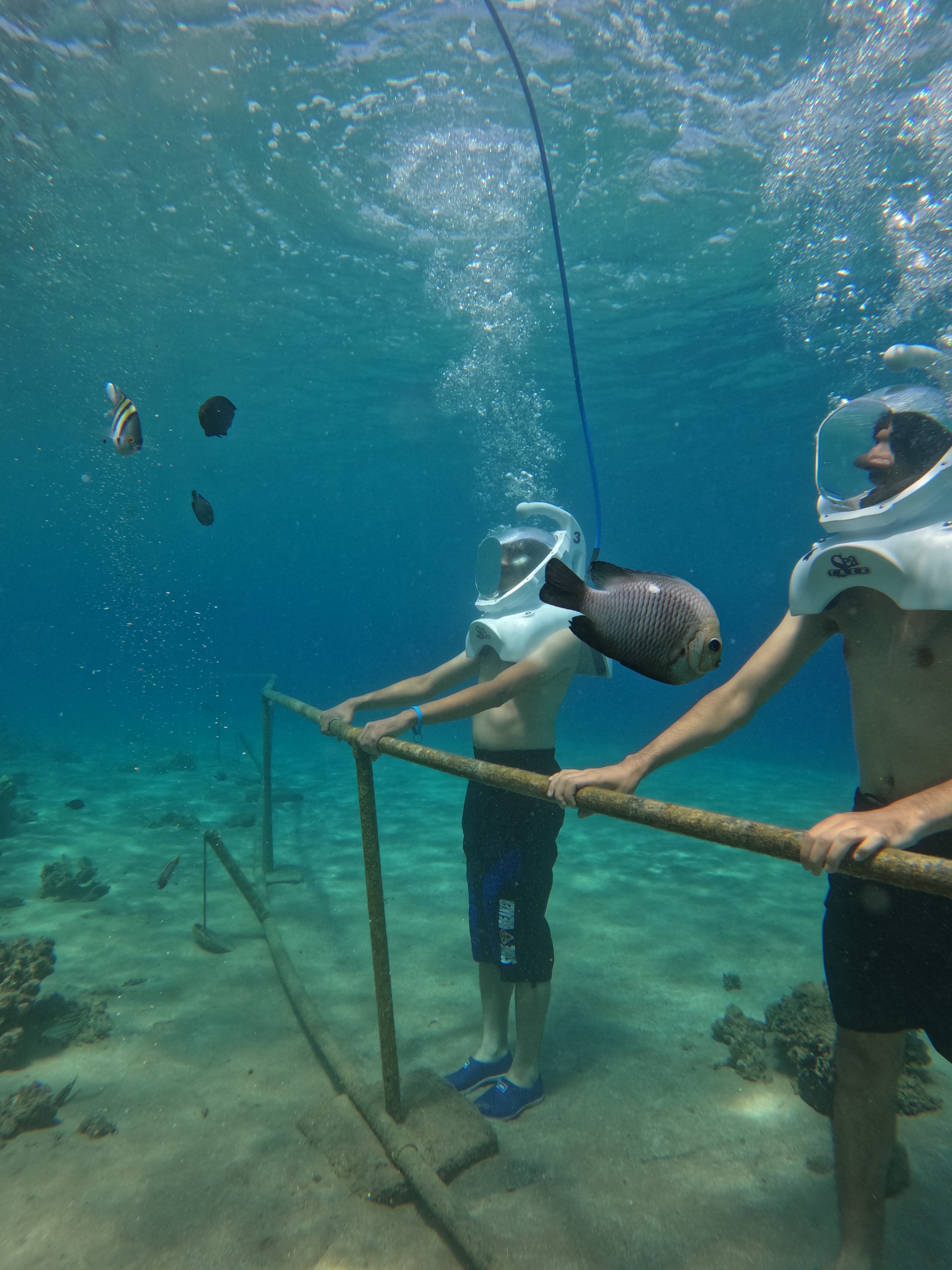 Royal Sea Trek
