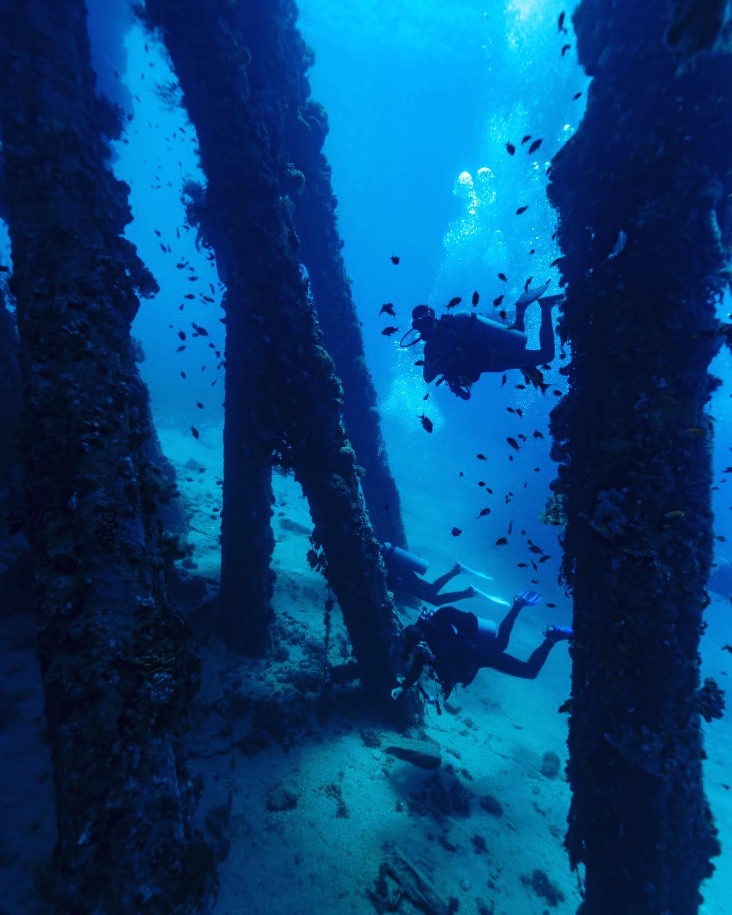 Night Dive