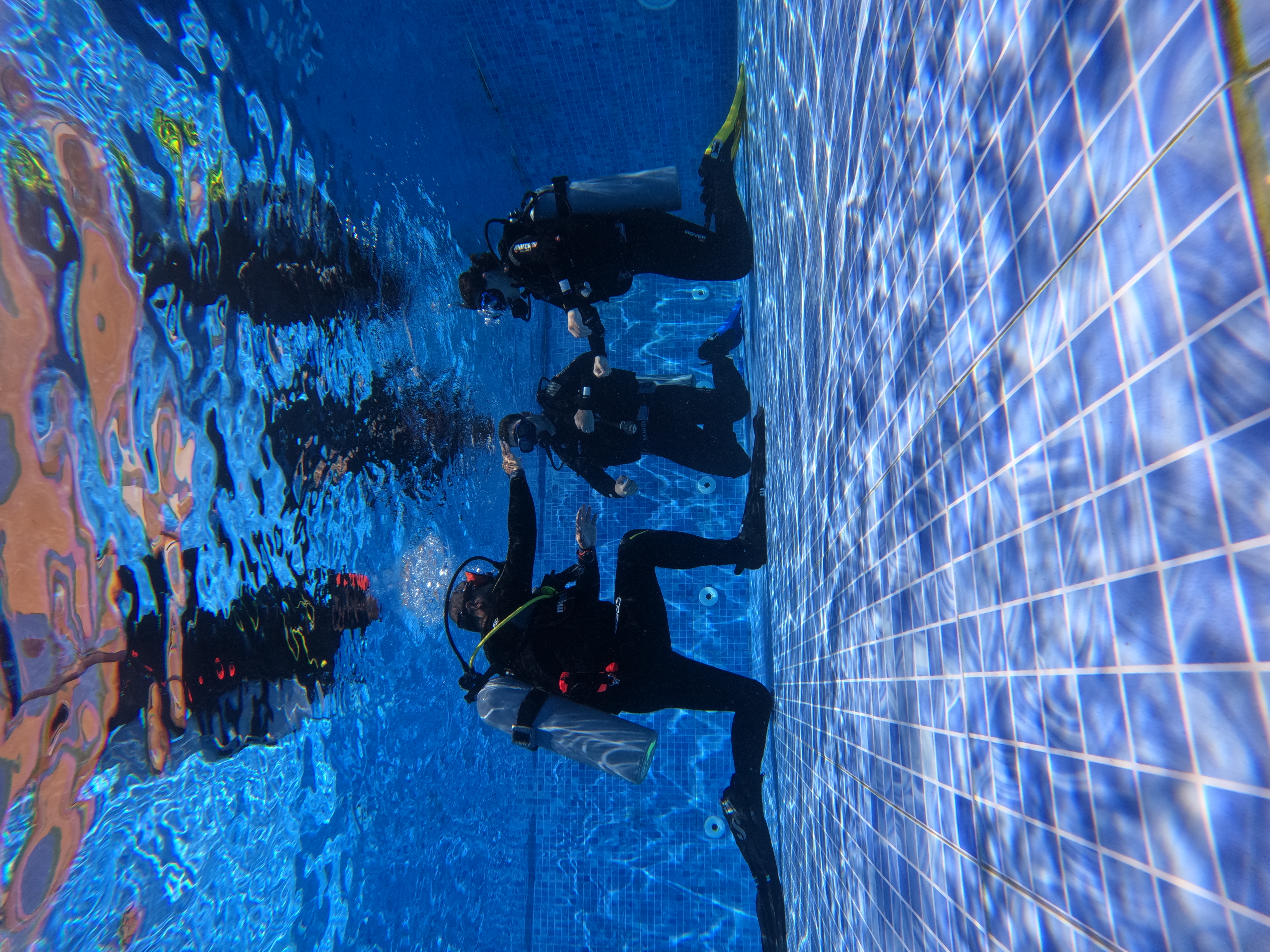 Introduction Dive