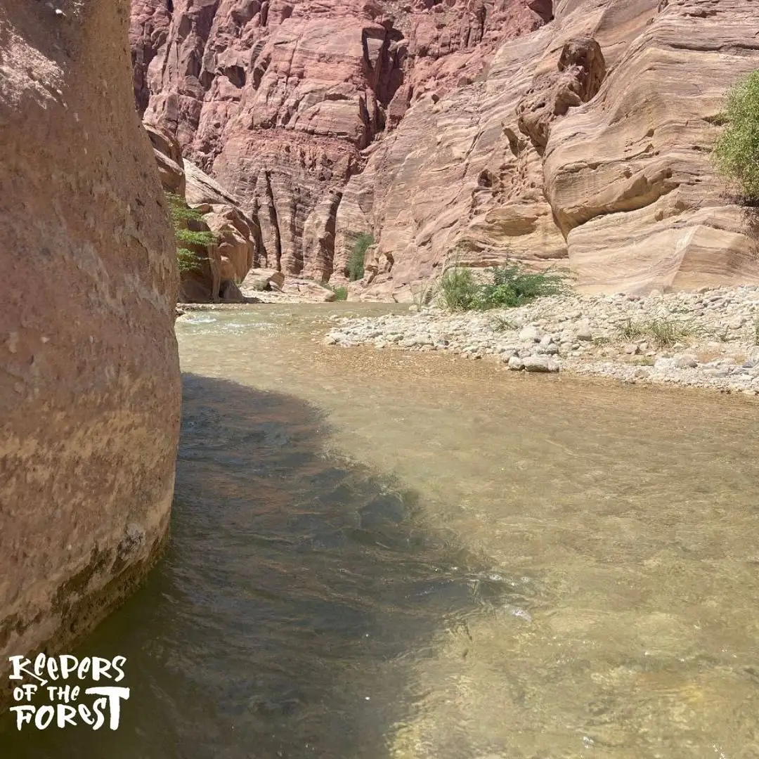 Wadi Hessa Hike