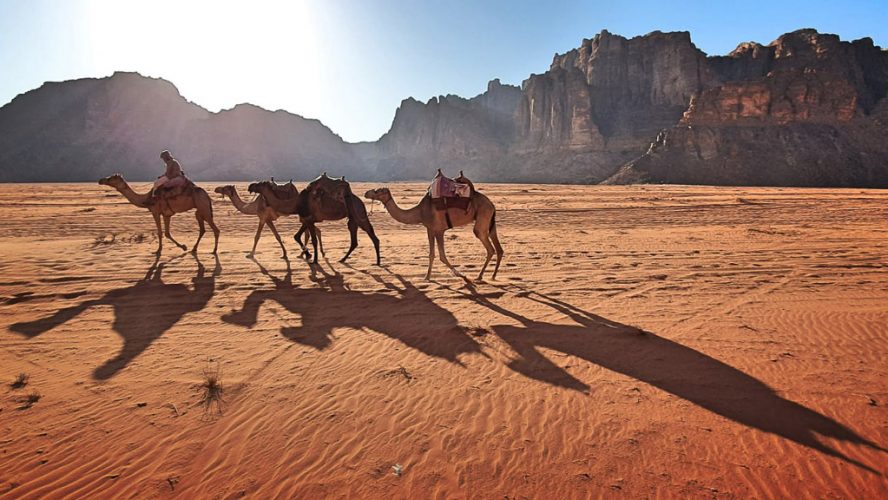 Camel Ride